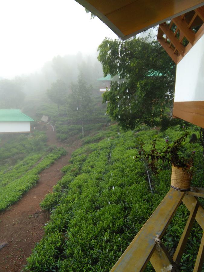 Vythiri Hills Hotel Exterior photo